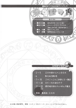 Page 26 of Nano-para 11