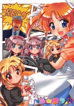 Page 2 of Nano-para 11