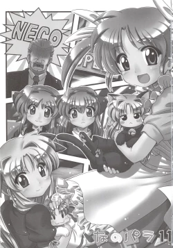 Page 3 of Nano-para 11