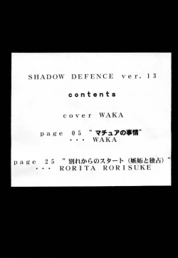 Page 3 of Shadow Defense 13
