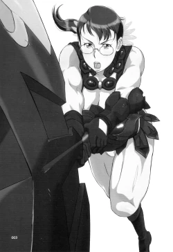 Page 3 of Package Meat 4.5