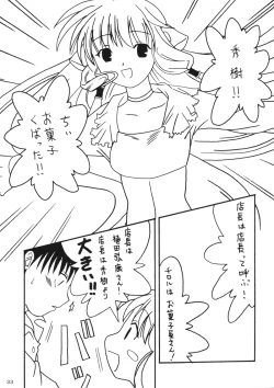 Page 32 of Kenko Daiichi