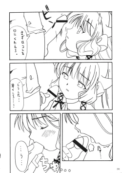 Page 35 of Kenko Daiichi