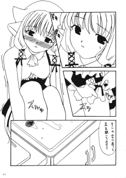 Page 40 of Kenko Daiichi