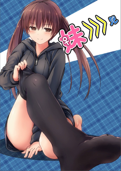 [Honey Lounge (Hachimitsu)] Imouto >>> Ani [English] {Dsojourn}