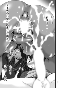 Page 14 of HANA Forte