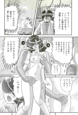 Page 24 of Seirei Tokusou Fairy Saber W - Shojo Kari