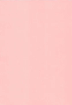 Page 214 of Nami SOS! Naoko Black Bird