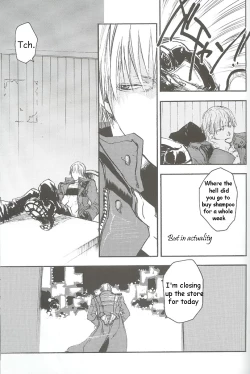 Page 73 of (C69) [GD Mechano (Izumi Yakumo)] ~La Vita E Rosa~ (Devil May Cry 3) [English]