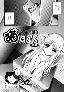 Page 14 of PARA★ISO