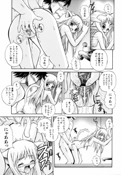 Page 19 of PARA★ISO