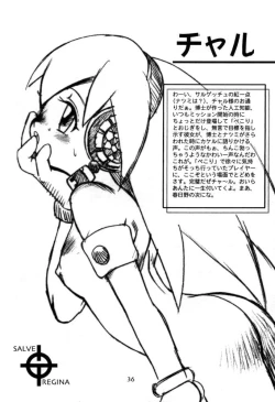 Page 36 of Salve Regina