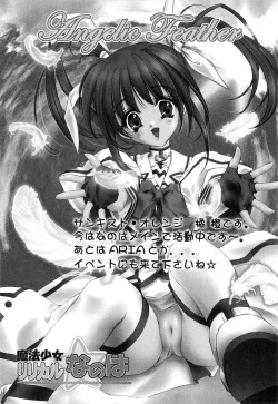Page 109 of Inran Shoujo Lolinana Lyrical Nanoha Eroparo