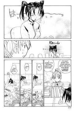 Page 118 of P SoukenChemical Laboratory