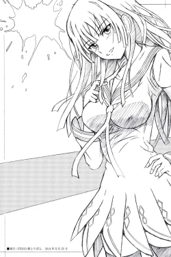 Page 2 of FLUKE BULLET 01&02