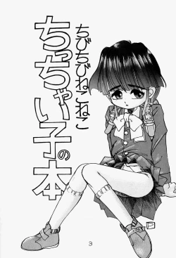 Page 2 of Chicchai No Hon