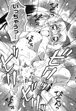 Page 146 of Pure Petit Vol. 25