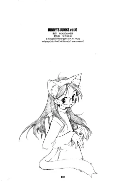 Page 41 of JUNKY'S JUNKS Vol. 6