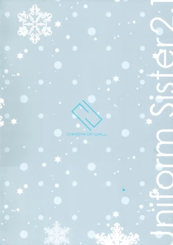 Page 12 of UnisiS2.1