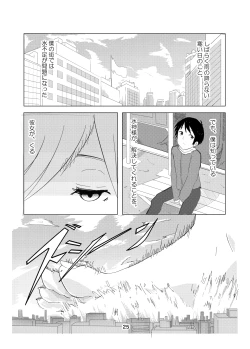 Page 24 of Koko wa Hime-sama no Toile desu