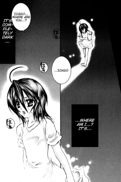 Page 33 of Rukia Kuchiki Minimum Maniax File