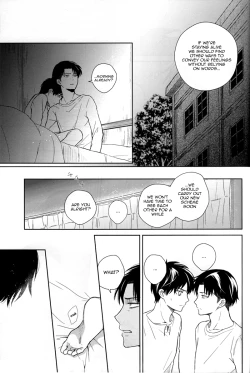 Page 41 of Lost Sheep