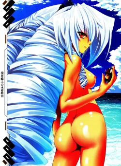 Page 15 of Kyoukai Senjou no Mizugi Tokukan