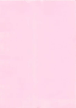 Page 245 of Kassen Soubatsu