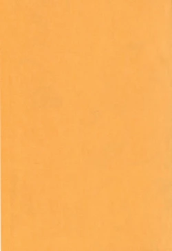 Page 4 of Juujunyoukan wa Iranai Ko Nanka ja Naindesu