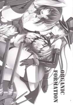 Page 4 of ORGANIC FORMATION