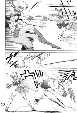 Page 30 of Submission Venus