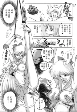 Page 37 of Submission Venus