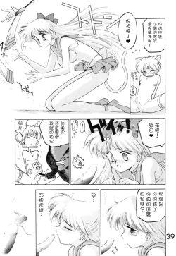 Page 39 of Submission Venus