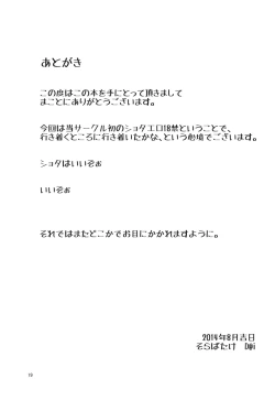 Page 20 of Zoku Touhou Shota No.1