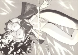 Page 2 of Fujin Keikan Menyou HonKan-Rin II