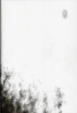 Page 35 of T-20 Fei Tas