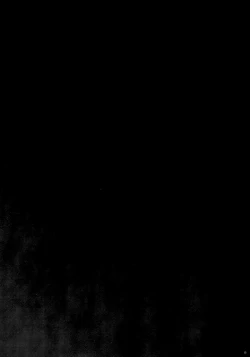 Page 15 of T-20 Fei Tas