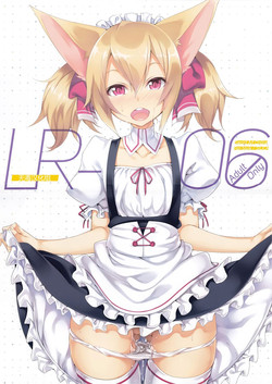 Download LR-06