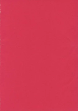 Page 3 of Simple Nise Shirizu The Oane Champion