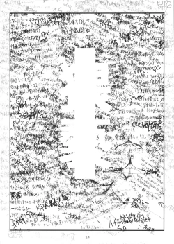 Page 14 of Limitter C86beta