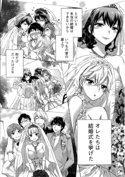 Page 243 of Zettai Harem ｃｈ.40-52+3