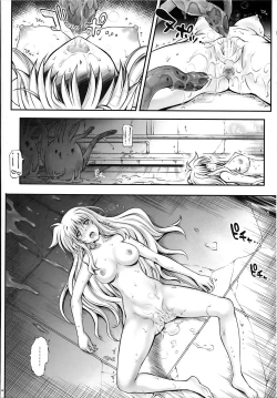 Page 14 of T-20 Fei Tas