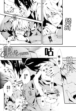 Page 25 of Shima Shima