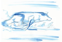 Page 14 of Holy&Beast