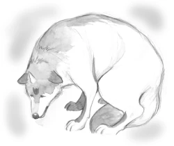 Page 33 of Holy&Beast