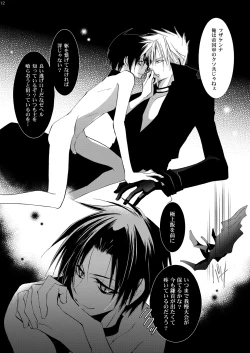 Page 11 of Hikatokage wa futatsu de hitotsu