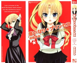 Page 1 of Iinari Princess