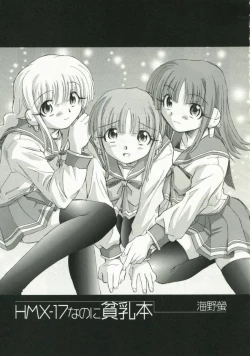 Page 2 of HMX-17 nanoni hinnyuu bon