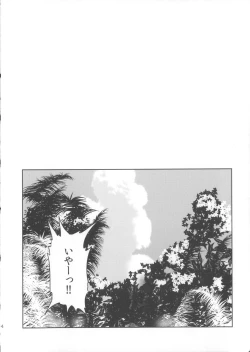 Page 3 of oasis siesta