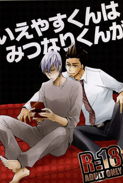 Download Ieyasukun ga